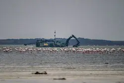 توقف پروژه پتروشیمی میانکاله؛ بازپس‌گیری زمین طبق دستور رئیس‌جمهوری