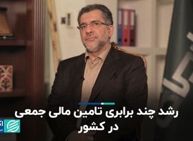 رشد چند برابری تامین مالی جمعی در کشور