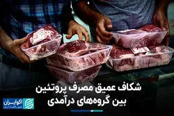 شکاف عمیق مصرف پروتئین بین گروه‌های درآمدی