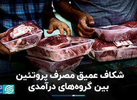 شکاف عمیق مصرف پروتئین بین گروه‌های درآمدی