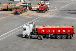 لیست جدید کالای اساسی و نهاده‌های کشاورزی در انتظار ارز  منتشر شد + سند