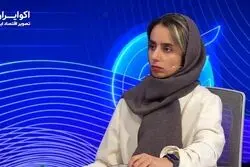 تکذیب واگذاری معادن به روس‌ها 