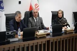 کاهش تجارت ایران و ایتالیا به یک پنجم  