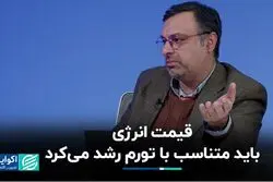 قیمت انرژی باید متناسب با تورم رشد می‌کرد