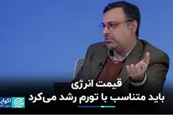 قیمت انرژی باید متناسب با تورم رشد می‌کرد