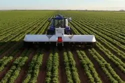 فناوری هسته‌ای؛ راه‌حلی برای چالش‌های کشاورزی