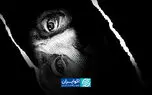 حقوق مردم زیر سایه دلار؛ یک رقابت نابرابر در ۱۴ سال