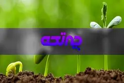 نیمه پر آمار رشد اقتصادی