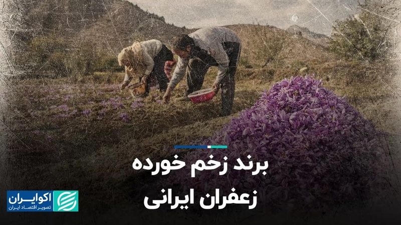  برند زخم خورده زعفران ایرانی