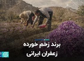  برند زخم خورده زعفران ایرانی