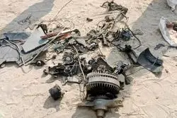 ورود ریزپرنده‌ها به آسمان کشور تایید شد؟