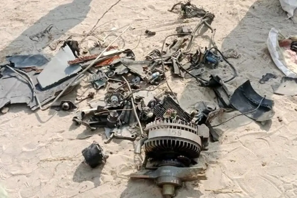 ورود ریزپرنده‌ها به آسمان کشور تایید شد؟