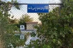سکوت 30 ساعته شهرداری درخصوص حادثه بوستان زیتون/ جزییات فوت دو کودک

