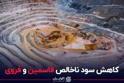 کاهش سود ناخالص فاسمین و فروی
