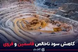 کاهش سود ناخالص فاسمین و فروی