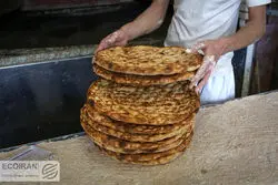 تکرار شکست یک سیاست / یارانه نان به نام مردم، به کام سودجویان