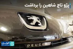بازار خودرو از سقوط شاهین شوکه شد