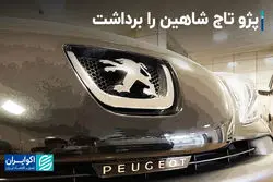 بازار خودرو از سقوط شاهین شوکه شد