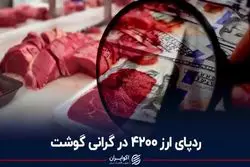 ردپای ارز ۴۲۰۰ در گرانی گوشت