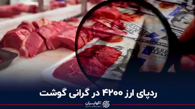 ردپای ارز ۴۲۰۰ در گرانی گوشت