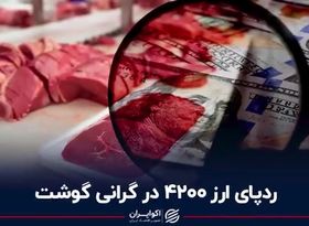 ردپای ارز ۴۲۰۰ در گرانی گوشت