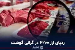 ردپای ارز ۴۲۰۰ در گرانی گوشت