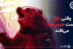 وقتی بازار دست خرس ها می افتد
