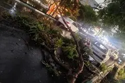 وزش باد شدید عصر امروز در پایتخت؛ هشدار نارنجی برای تهرانی‌ها صادر شد