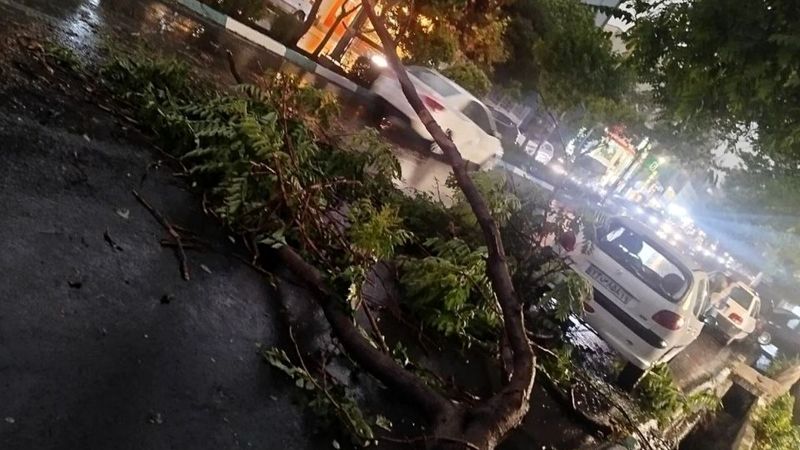وزش باد شدید عصر امروز در پایتخت؛ هشدار نارنجی برای تهرانی‌ها صادر شد