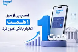 اسنپ‌پی در خرداد بیش از یک همت اعتبار بانکی به کاربران ارائه کرد
