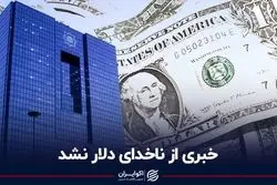 خبری از ناخدای دلار نشد