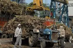 بسته شدن دروازه‌های صادراتی هند؛ تمدید محدودیت صادرات شکر