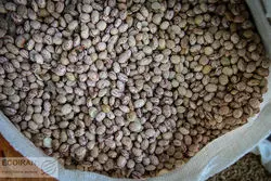 آغاز روند کاهشی قیمت حبوبات؛ علت گران‌شدن کالاهای اساسی از زبان رئیس اتحادیه بنکداران