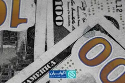 قیمت دلار تا کجا بالا می‌رود؟ + ویدیو 