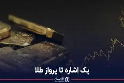یک اشاره تا پرواز طلا