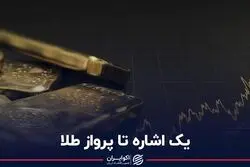 یک اشاره تا پرواز طلا