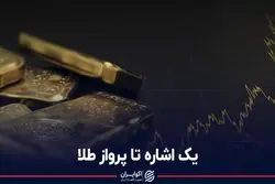 یک اشاره تا پرواز طلا