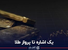 یک اشاره تا پرواز طلا