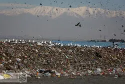 جزییات تازه از ورود زباله های ساری به تهران؛10 روز بود و 4 هزار تن زباله 