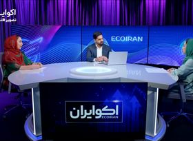 «اسنپ‌پی» متهم، بازار بی‌تعریف؛ نقد یک رأی بحث‌برانگیز
