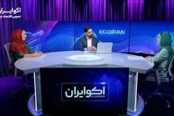 «اسنپ‌پی» متهم، بازار بی‌تعریف؛ نقد یک رأی بحث‌برانگیز