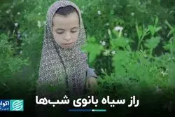 یاسمن، راز سیاه صنعت عطرسازی