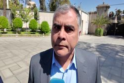 وزیر نفت: مازاد سهمیه گاز صنایع از سایر سوخت‌ها تامین می‌شود