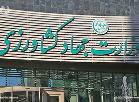 معاون وزارت جهاد کشاورزی: قیمت روغن خوراکی تغییر نمی‌کند