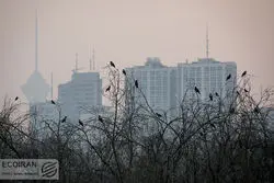 وضعیت این ۲ نقطه تهران بنفش شد