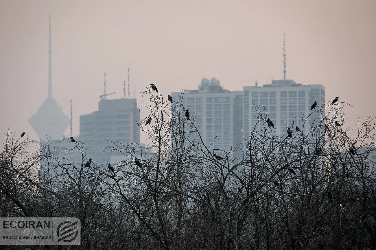 وضعیت این ۲ نقطه تهران بنفش شد