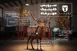 کلینیک پاییزه لاماری ادامه دارد؛ خدمات ویژه تا ۳۰ مهر با امکان نوبت‌دهی آنلاین
