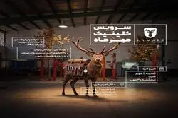 کلینیک پاییزه لاماری ادامه دارد؛ خدمات ویژه تا ۳۰ مهر با امکان نوبت‌دهی آنلاین