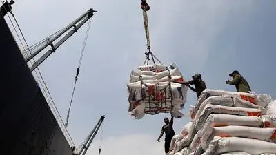 سفره ایرانی‌ها در قبضه هندی‌ها؛ بازی برد-برد برنج خارجی در معرکه قیمت‌ها