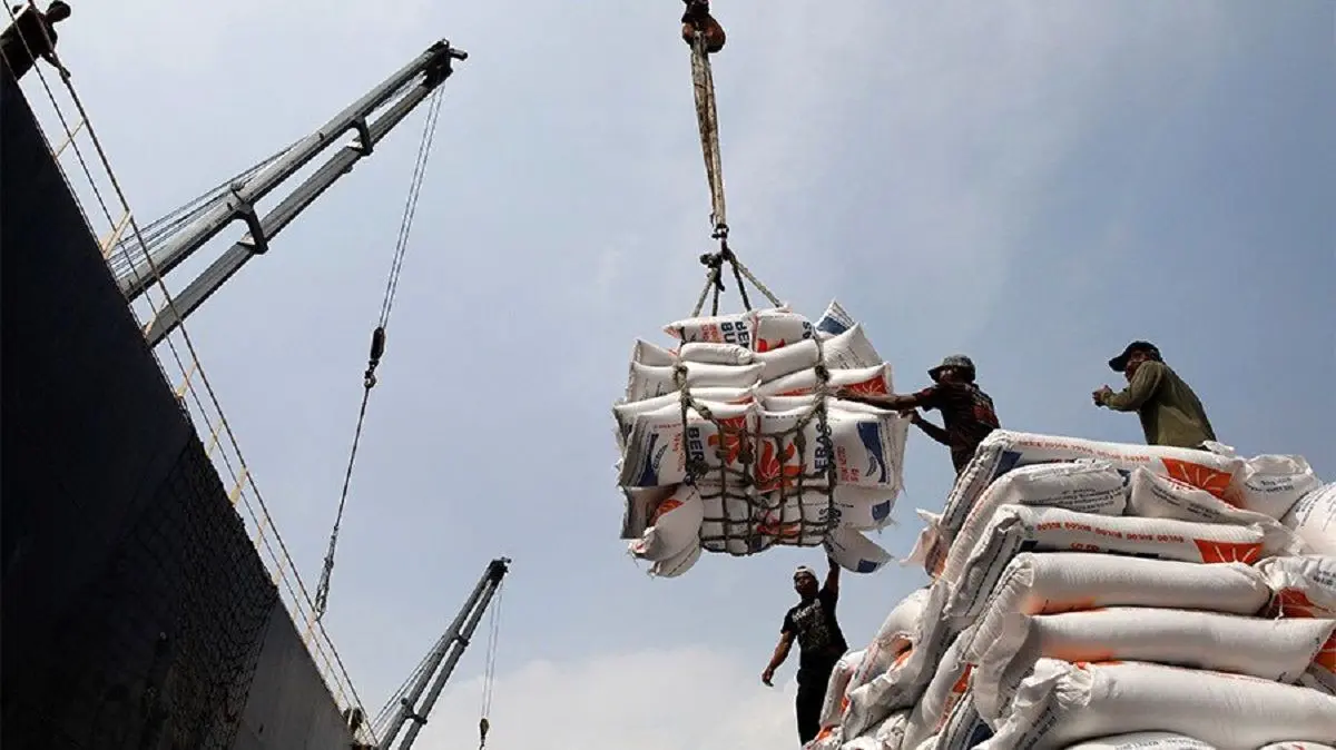 سفره ایرانی‌ها در قبضه هندی‌ها؛ بازی برد-برد برنج خارجی در معرکه قیمت‌ها